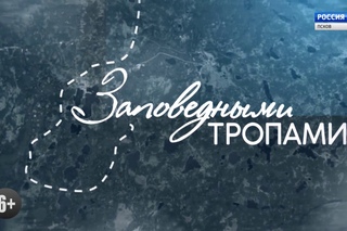 Заповедными тропами. Полистовский заповедник