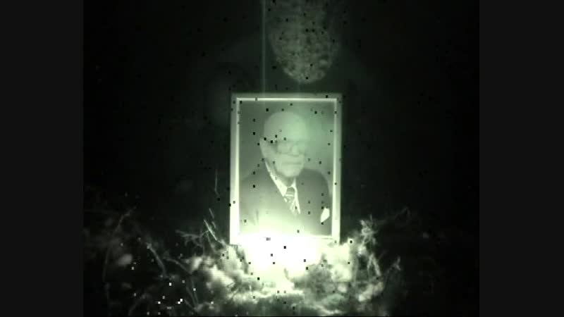 DVD 2005