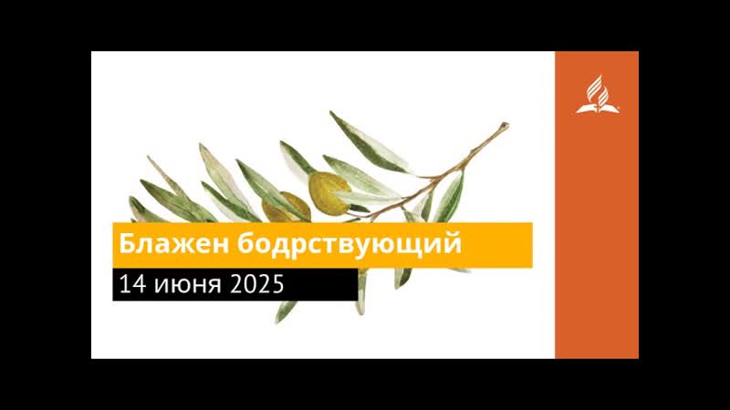 14 июня 2025. Блажен бодрствующии . Под сенью благодати,
