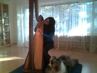 River flows in you - harp