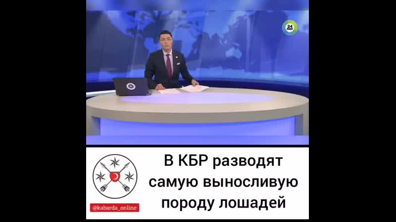 В КБР разводят самую выносливую породу лошадей.