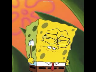 spongeyong