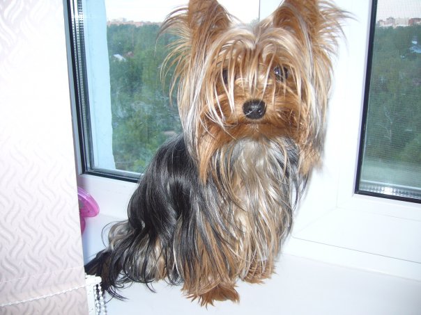 №9, Маша Котова, Киев №9, Маша Котова, Киев