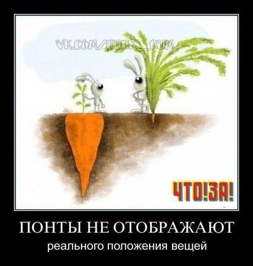 Денис Гусев | Тамбов