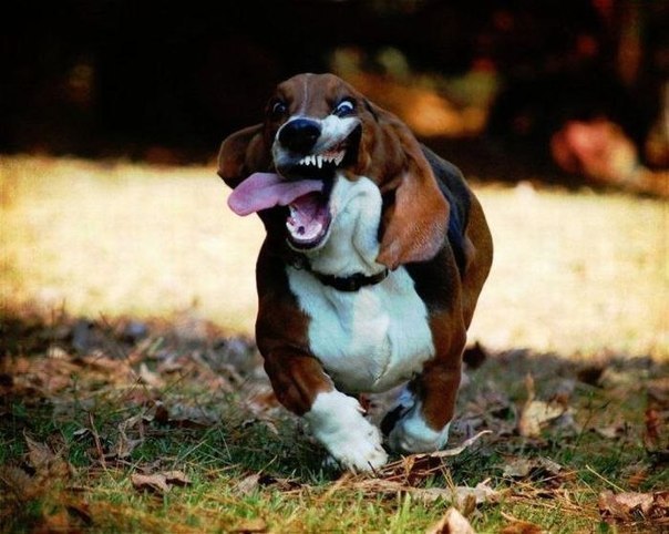 Анастасия Гречишкина Александровна | 