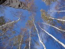 Фотография Фесюн Елены