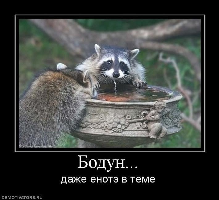 Валік Хаммер | Мукачево