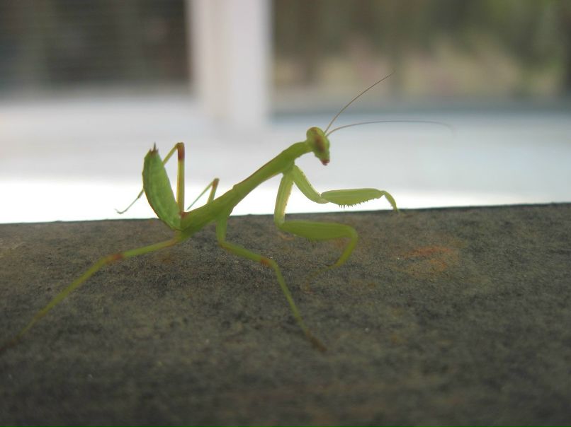 Дмитрий Ерофеев | Заречный