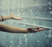 №50, Оксана Шкутенко, Харьков №50, Оксана Шкутенко, Харьков