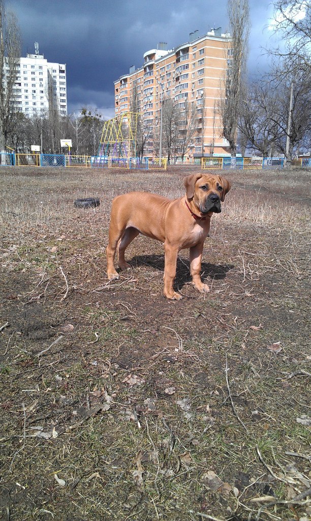 Анна Майбороз | Харьков