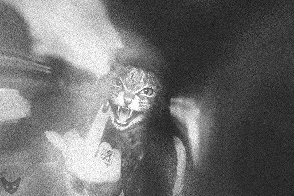 Екатерина Белова | Краснодар