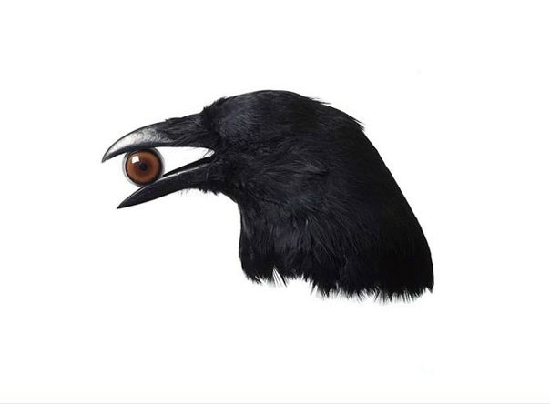 №50, Ирина Стребкова, 35 лет, Воронеж №50, Ирина Стребкова, 35 лет, Воронеж