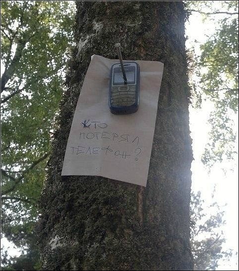 №8, Сега Сега, Москва, Россия №8, Сега Сега, Москва, Россия