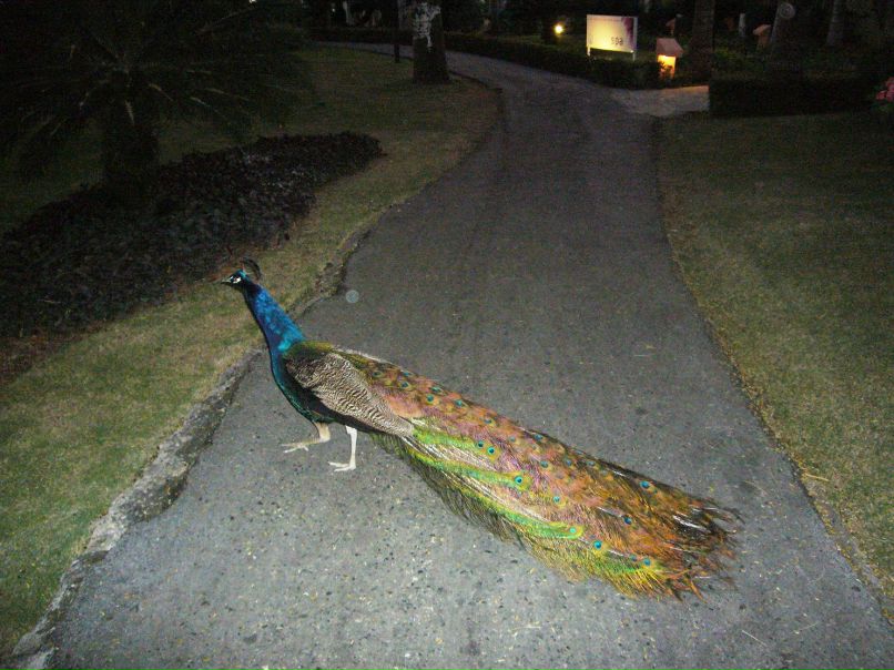 Оксана Сазонова | Москва