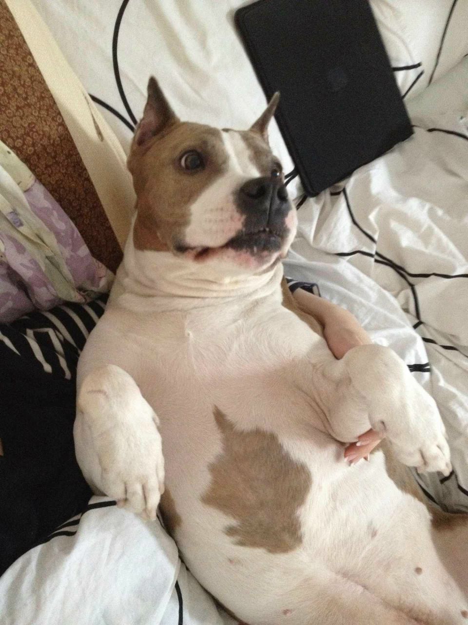 Елена Гокорева | Москва