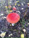 №15 Ольга Семенова 29.09.1979: профиль, фото, статус - ВКонтакте