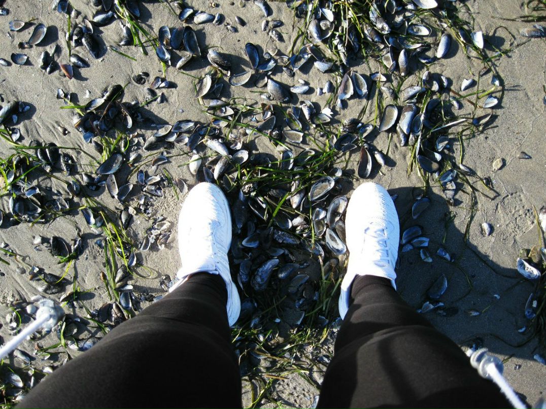 Карина Лимаренко | Helsingborg