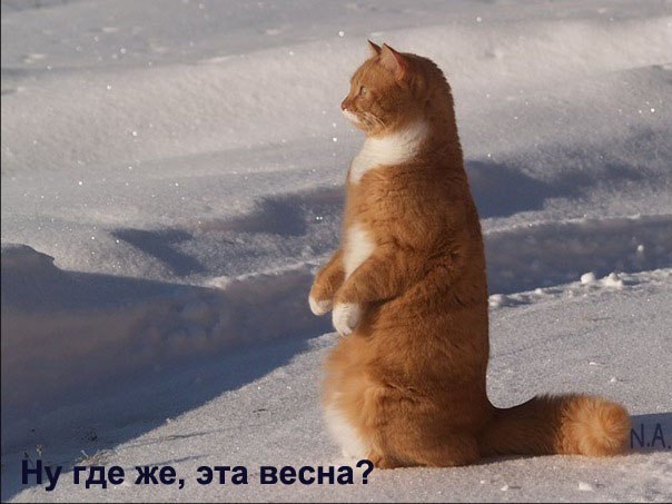 Катерина Великая | Москва