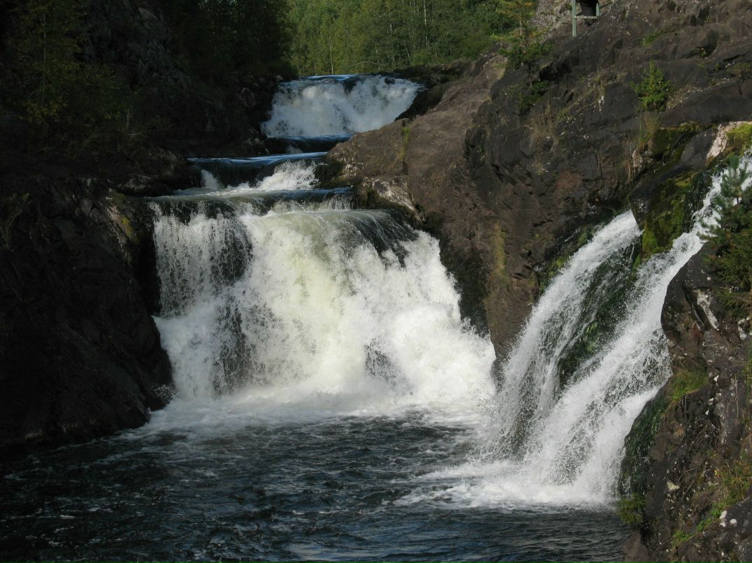 Дмитрий Воронин | Санкт-Петербург