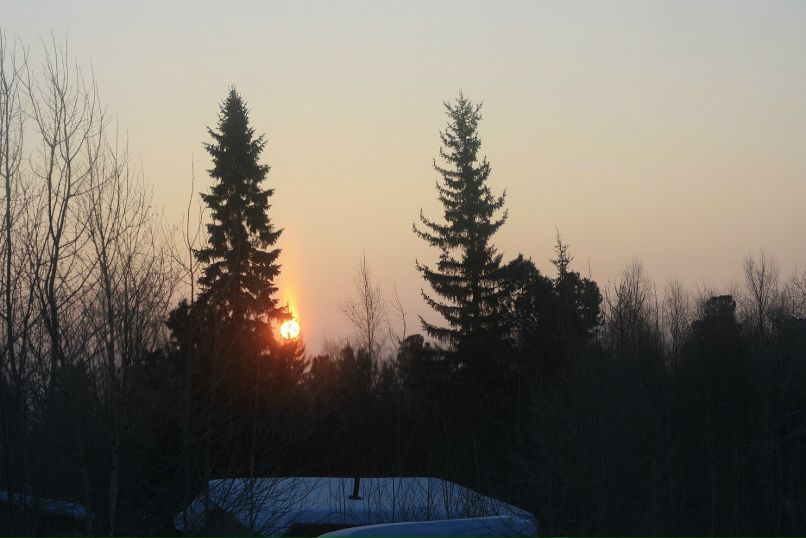 Елена Карташова | 