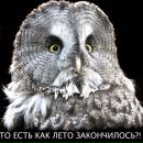 Фотография Анастасия Соколова