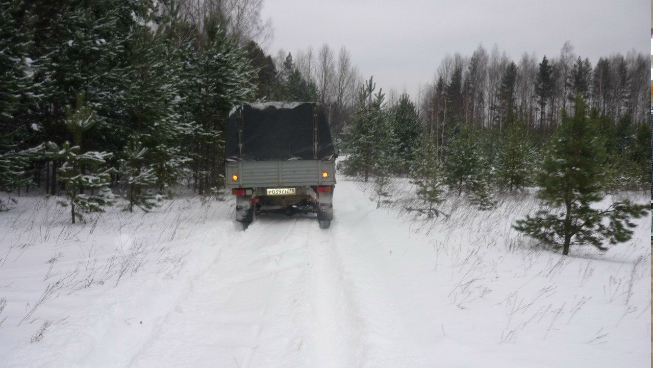 Александр Хорошавин бульдик | Ижевск