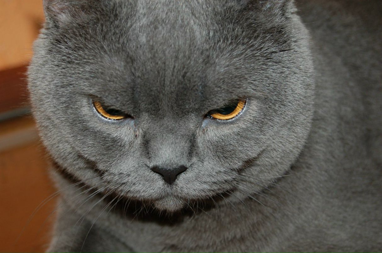 Данил Ступак Al. | Москва