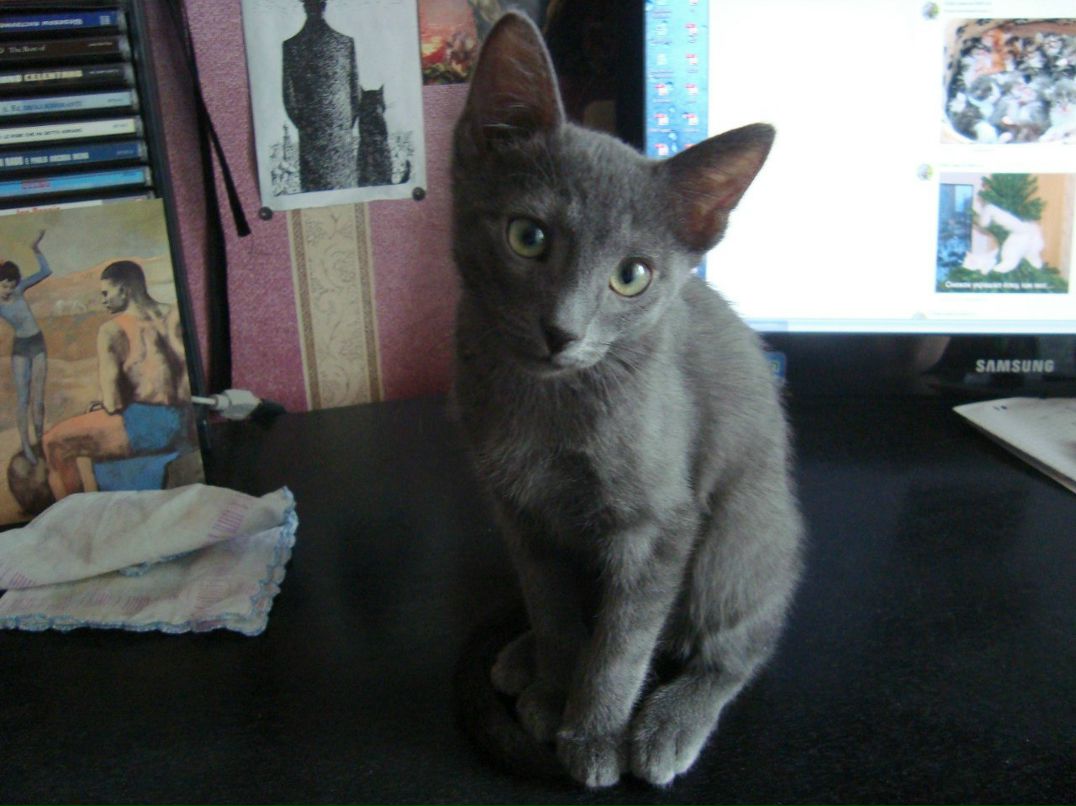 Алиса Корепанова | Москва