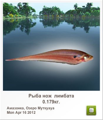 Владимир Куличенко | Арциз