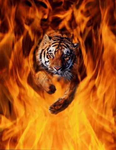 Валерия Навоша владимировна | 