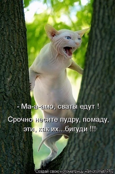 Олег Буденков ™ | Кемерово