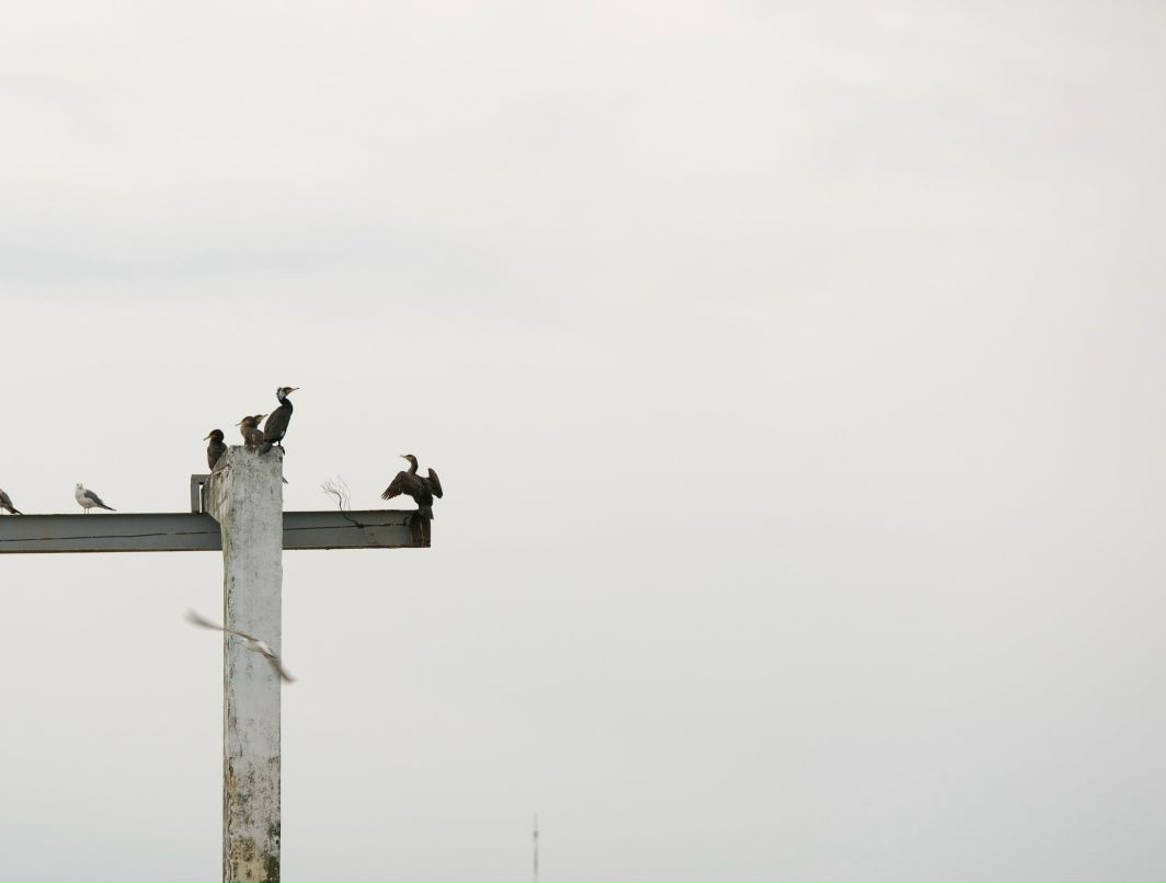Серёга Колдов | Санкт-Петербург