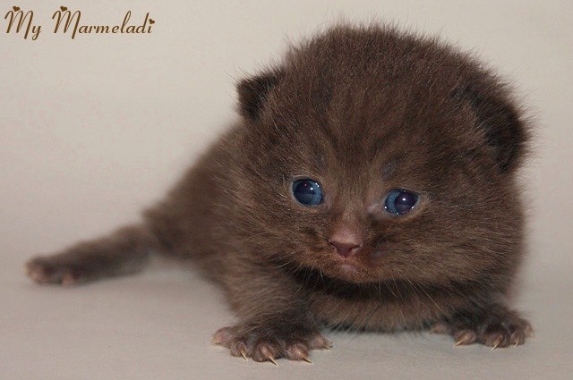 Ирина Аверина | Переславль-Залесский