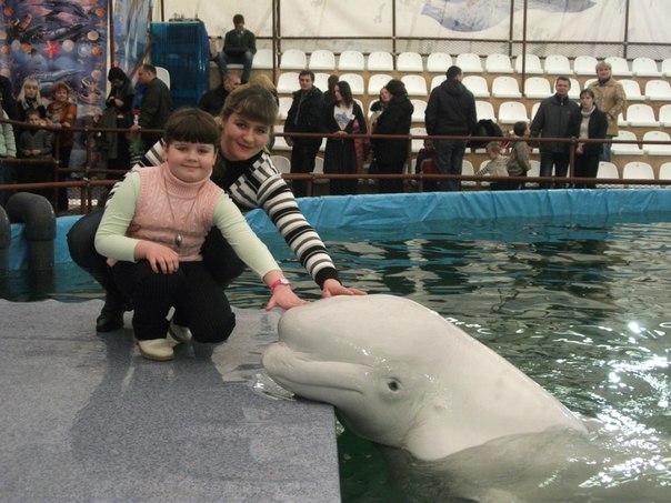 №5, Ольга Савчик №5, Ольга Савчик