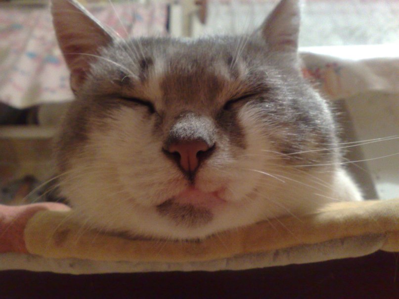 Алексей Яковлев | Москва