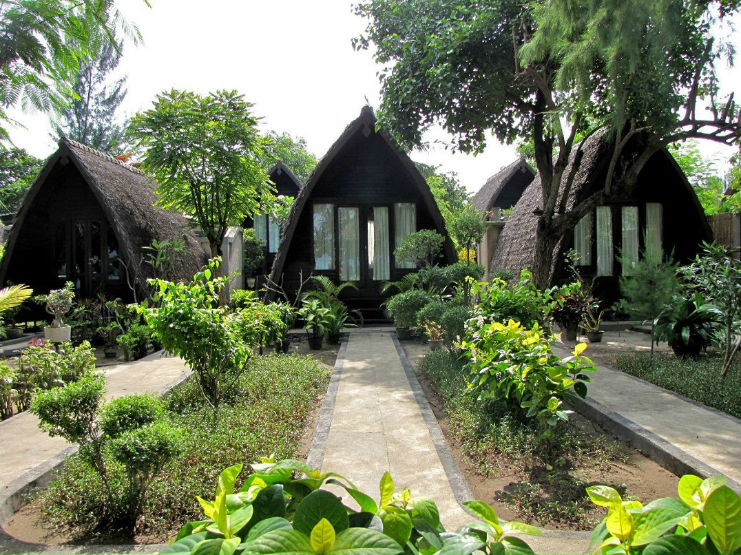 Татьяна Солнцева | 