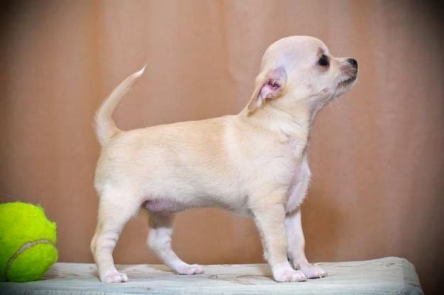 Наталья Отмахова | Йошкар-Ола