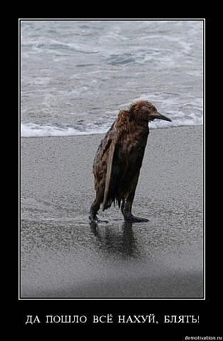 №101, Марина Шитикова №101, Марина Шитикова