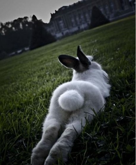 Юлия Кириллова | 