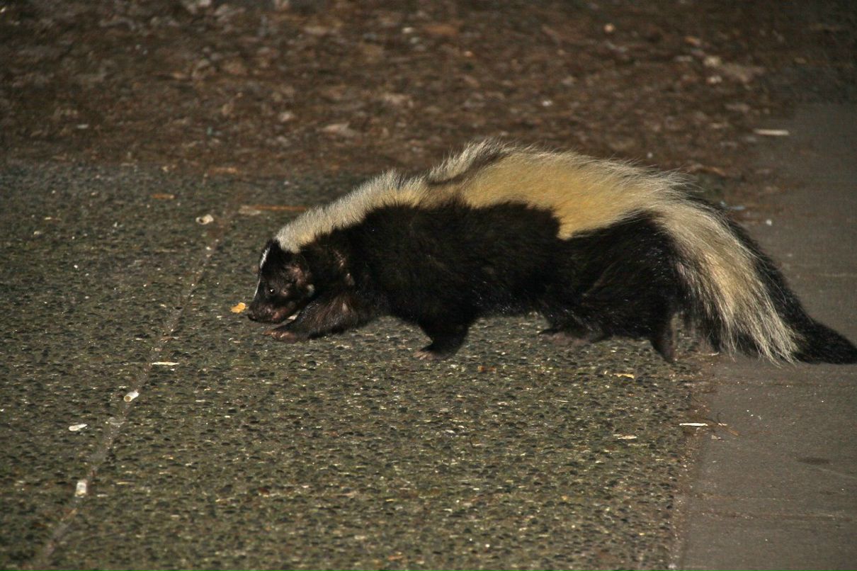 Светлана Попова | Москва