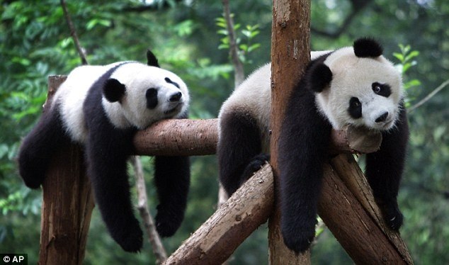 Оленька Ню | Москва