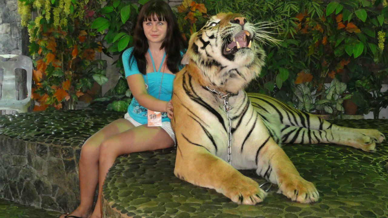 Светлана Соколовская | Мытищи