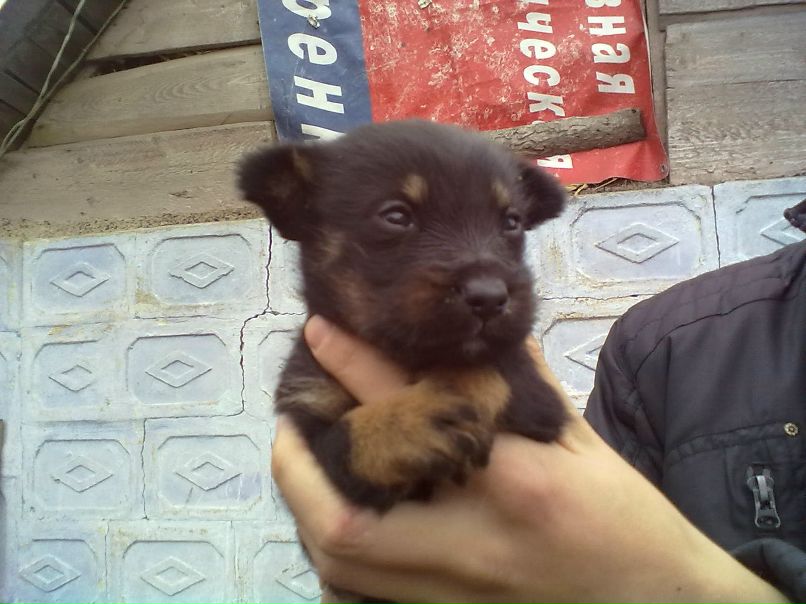 Валерик Фёдоров | Зеленодольск