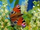 №36 Татьяна Котомина 22.05: профиль, фото, статус - ВКонтакте
