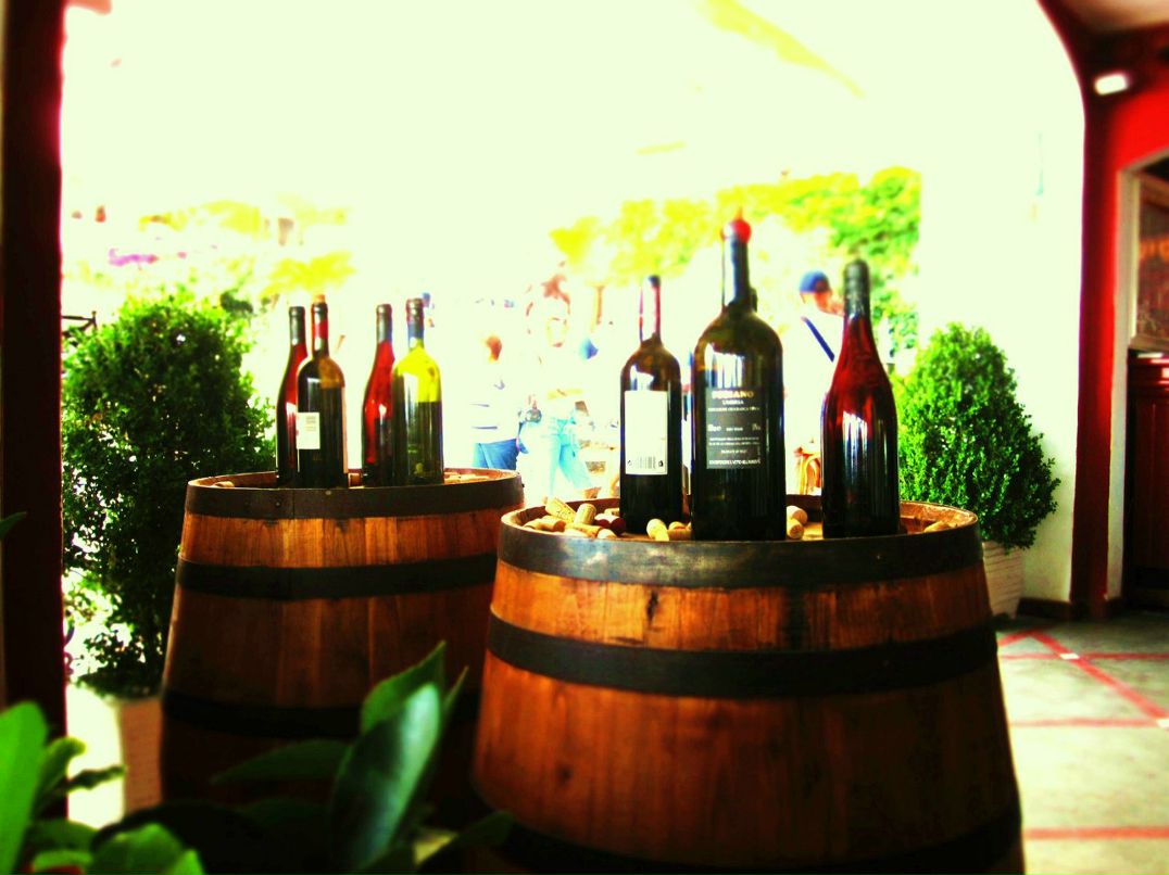 Регина Сагдеева | Новосибирск