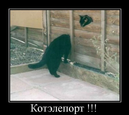 Кирилл Дюжиков | Санкт-Петербург