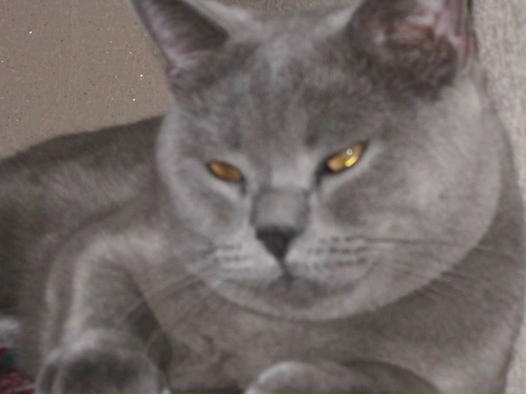 Ирина Цымбал | 