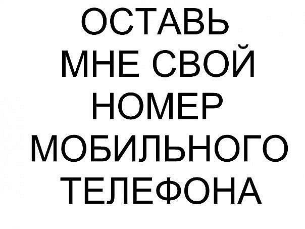 Вова Орехов | 