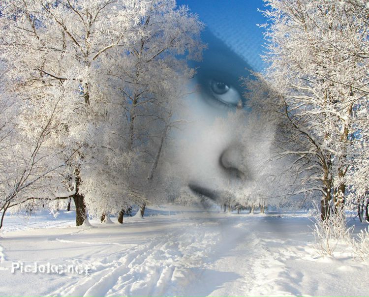 №77, Елизавета Гордиенко, 44 года, Харьков №77, Елизавета Гордиенко, 44 года, Харьков