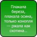 Фотография Даниил Вохмянин